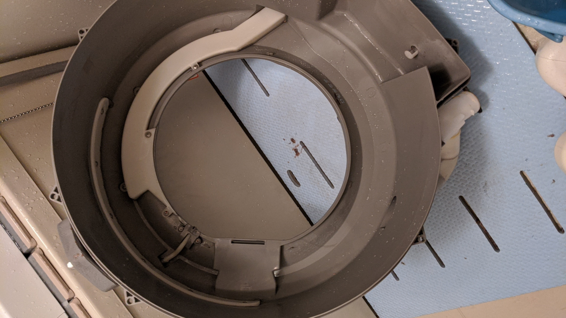 午前中、ドラム式洗濯機クリーニングをしました。