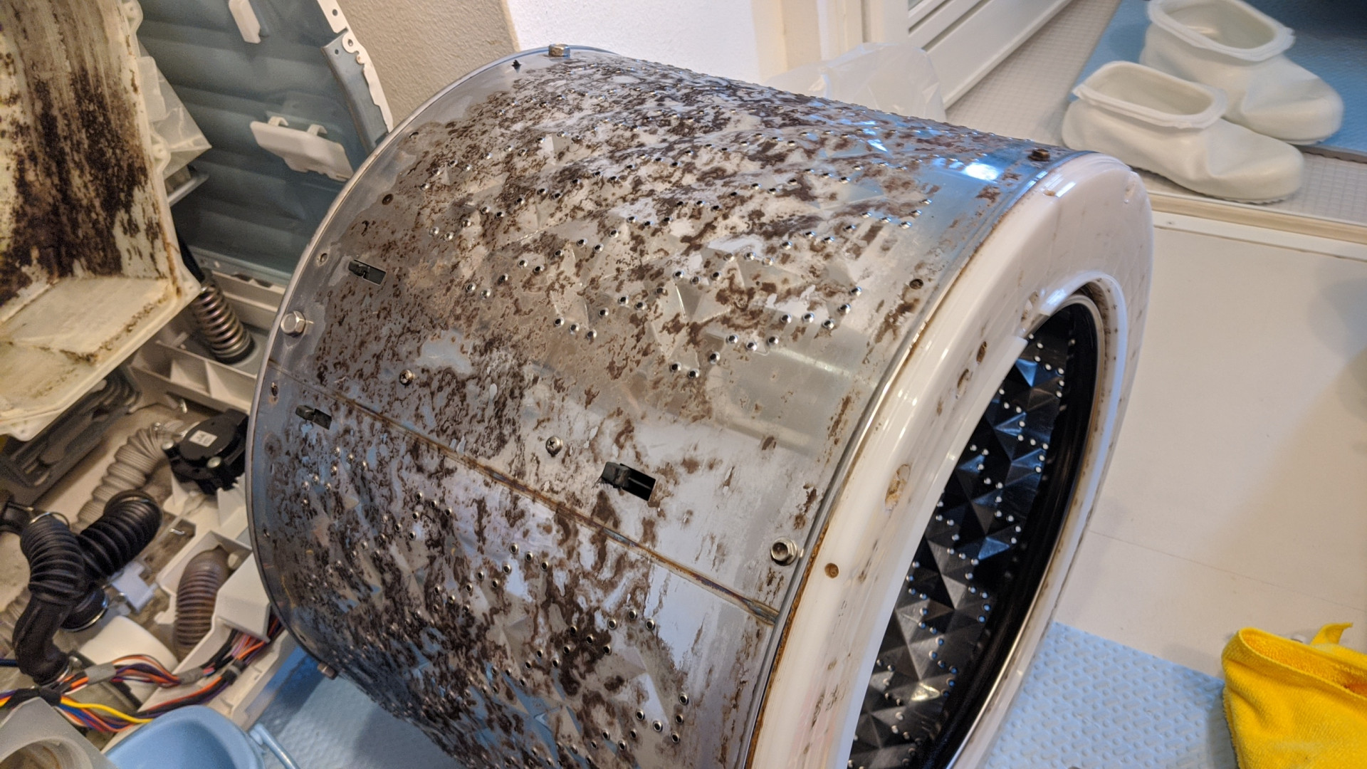 京都でドラム式洗濯機クリーニングをしました。