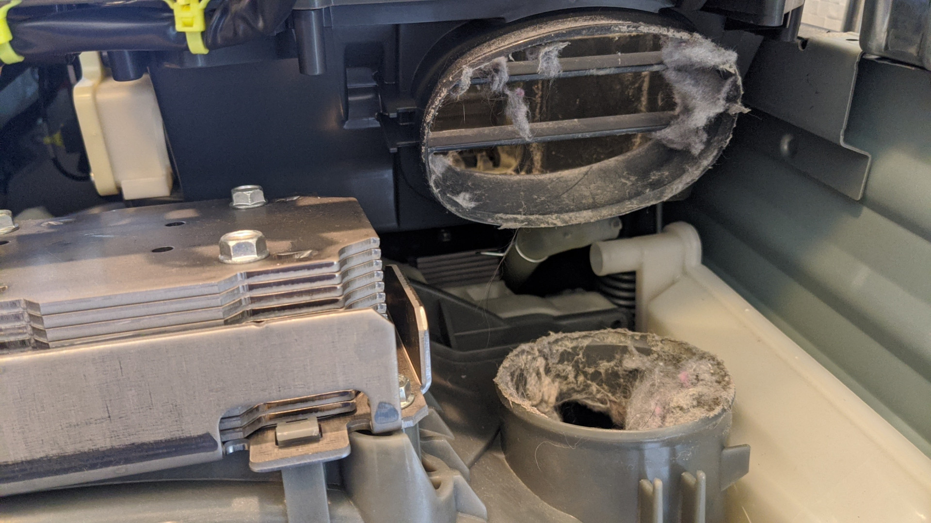 和泉市でドラム式洗濯機クリーニングしました