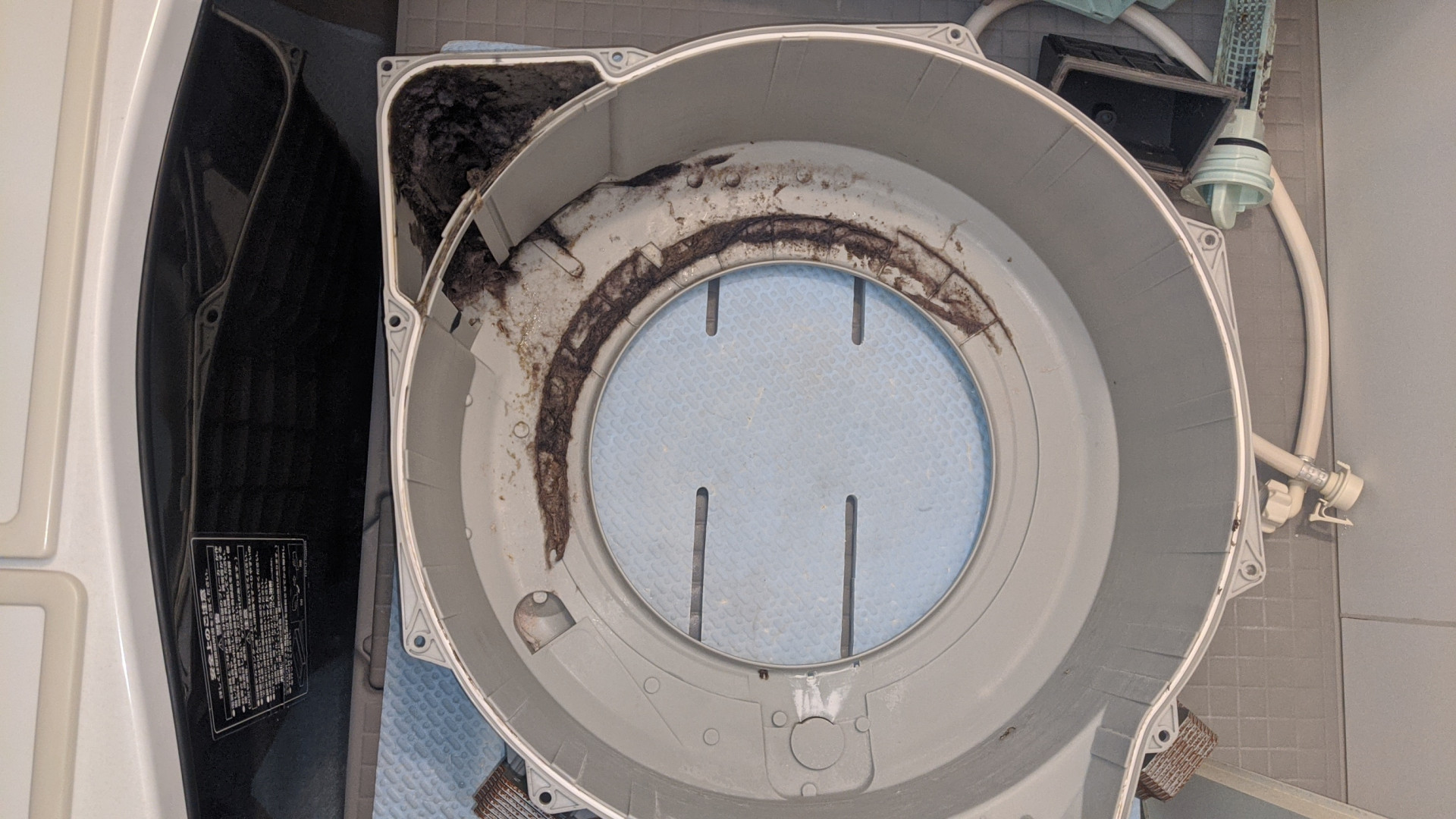 和泉市でドラム式洗濯機クリーニングをしました